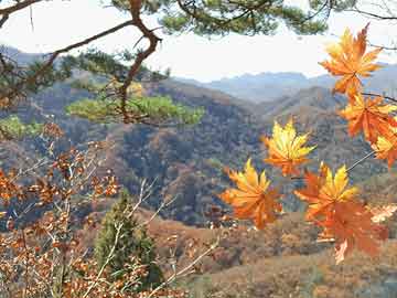 药流药微信杨德龙：2025年巴菲特股东大会干货满满