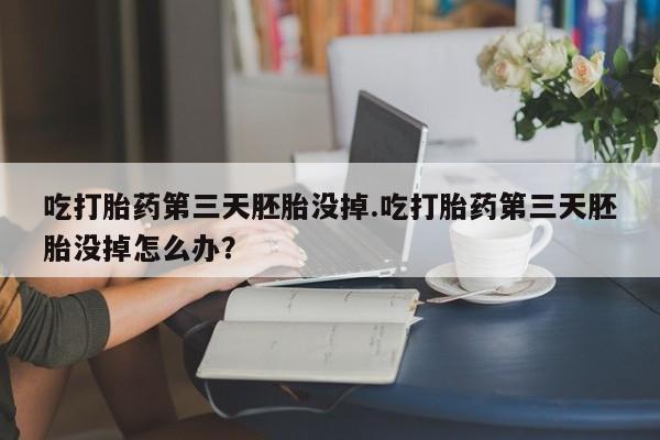 药流药微信吃打胎药第三天胚胎没掉.吃打胎药第三天胚胎没掉怎么办？