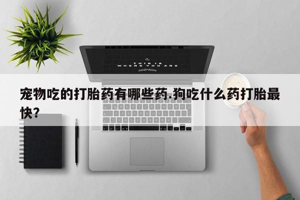 药流药微信宠物吃的打胎药有哪些药.狗吃什么药打胎最快？