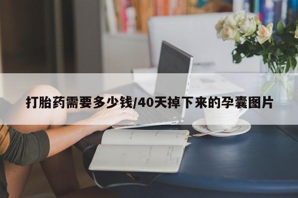 药流药微信打胎药需要多少钱/40天掉下来的孕囊图片