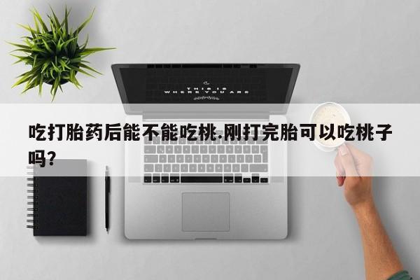 药流药微信吃打胎药后能不能吃桃.刚打完胎可以吃桃子吗?